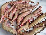 রানী বাগদা | Rani Bagdha | Ocean Tiger