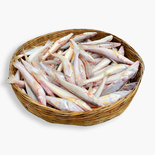 Sea Bele (সামুদ্রিক বেলে)