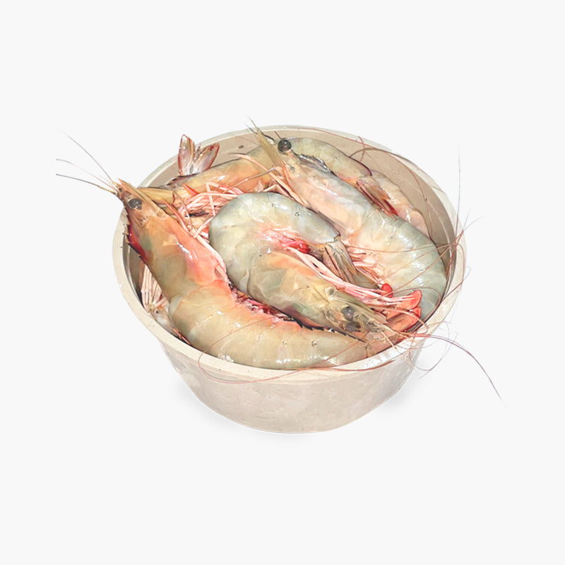 Chaka Prawn/চাকা চিংড়ী