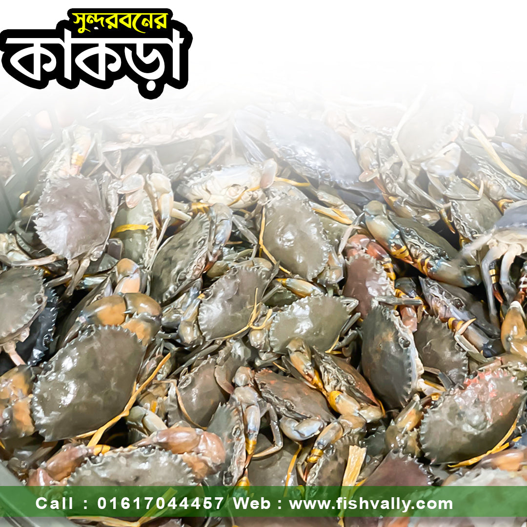 Mud Crabs (সুন্দরবনের কাকড়া)