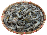 Mou Kathali ( মৌ কাঠালি )