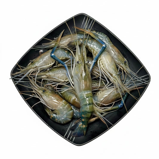 Golda Prawn (গলদা চিংড়ি)