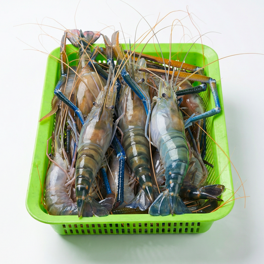 Golda Prawn (গলদা চিংড়ি)