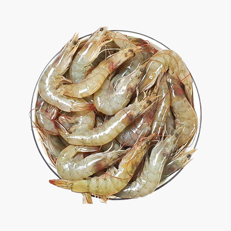 Horina Prawn/হরিনা চিংড়ী