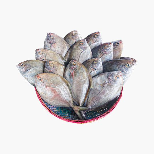 Black Pomfret/কালো চাঁদা