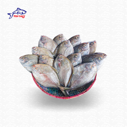 Black Pomfret / Kalo Chada / কালো চাদা