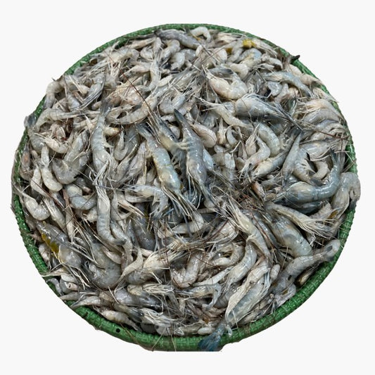 Kathali Prawn (কাঠালি চিংড়ী)