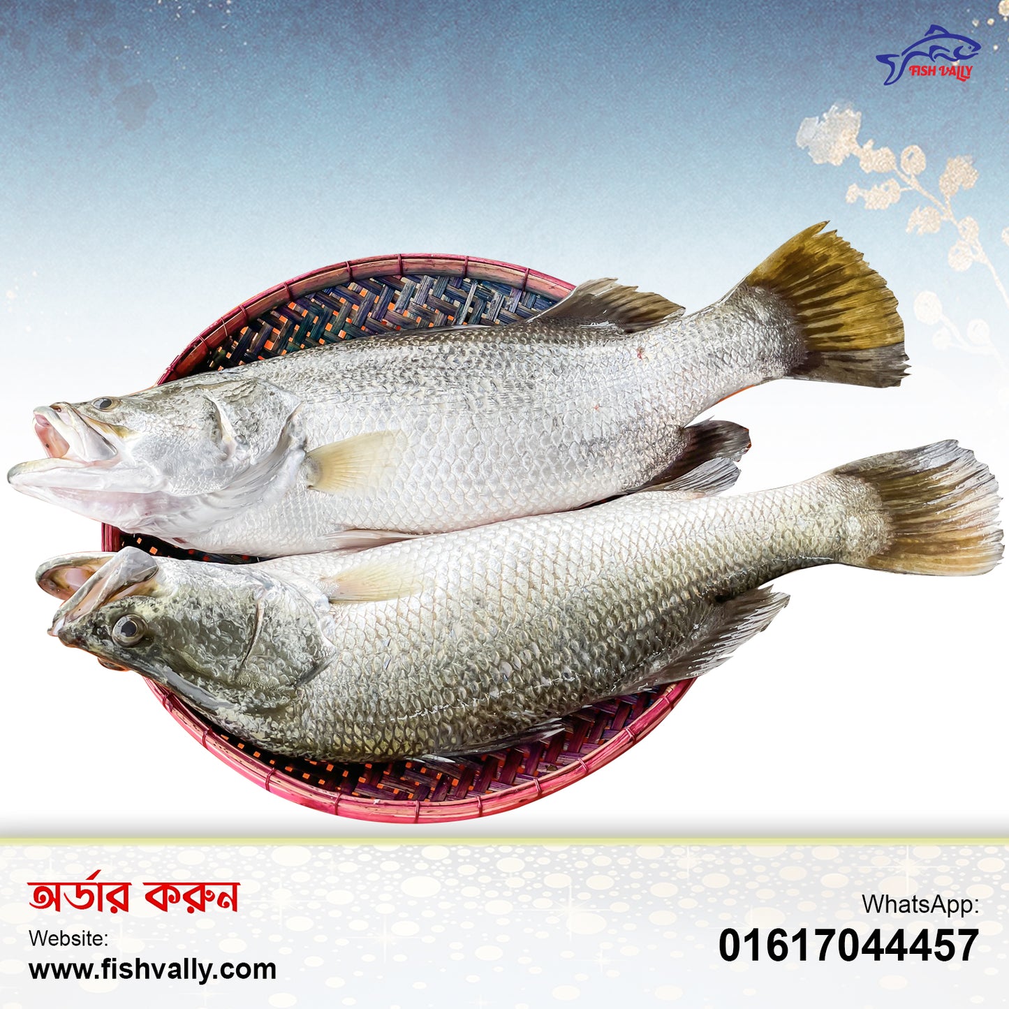 Koral Fish 2 KG Size Whole (999 TK Per KG)