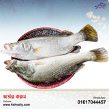 Koral Fish 2 KG Size Whole (999 TK Per KG)
