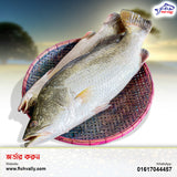 Koral Fish 5 KG Size Whole (1250 TK Per KG)