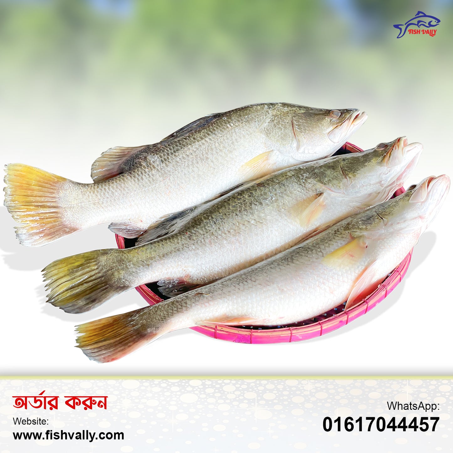 Koral Fish 1 KG Size Whole (889 TK Per KG)