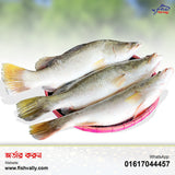 Koral Fish 1 KG Size Whole (889 TK Per KG)