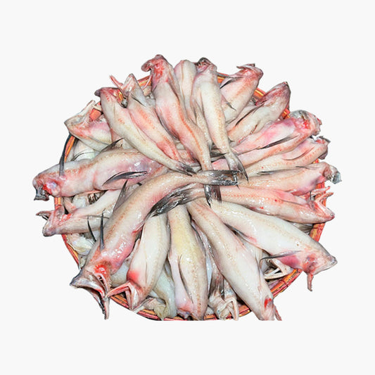 Lotia Fish (লইট্টা মাছ) - Cut & Clean । Weight: 500gm packet