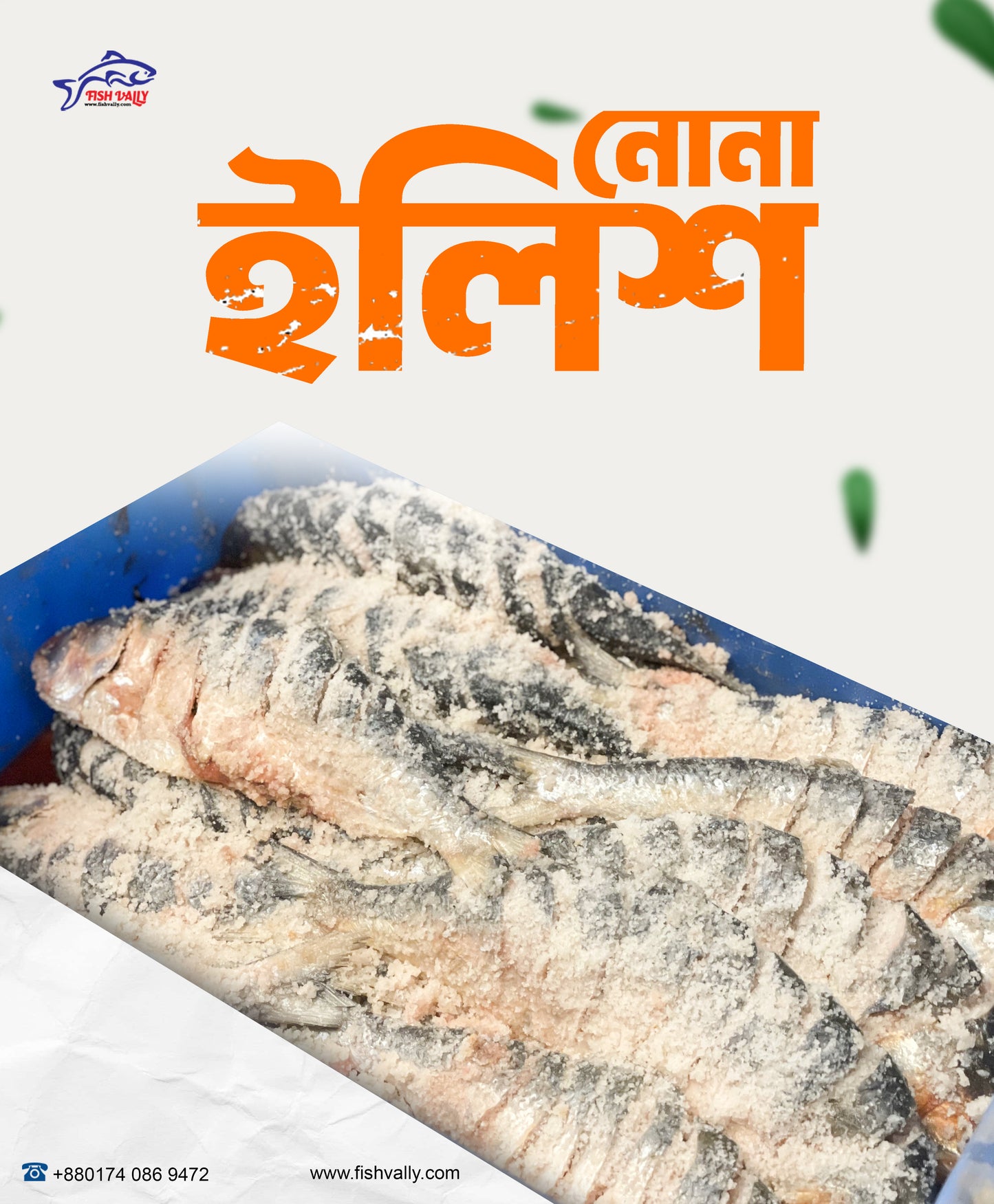 Nona Hilsha (নোনা ইলিশ)