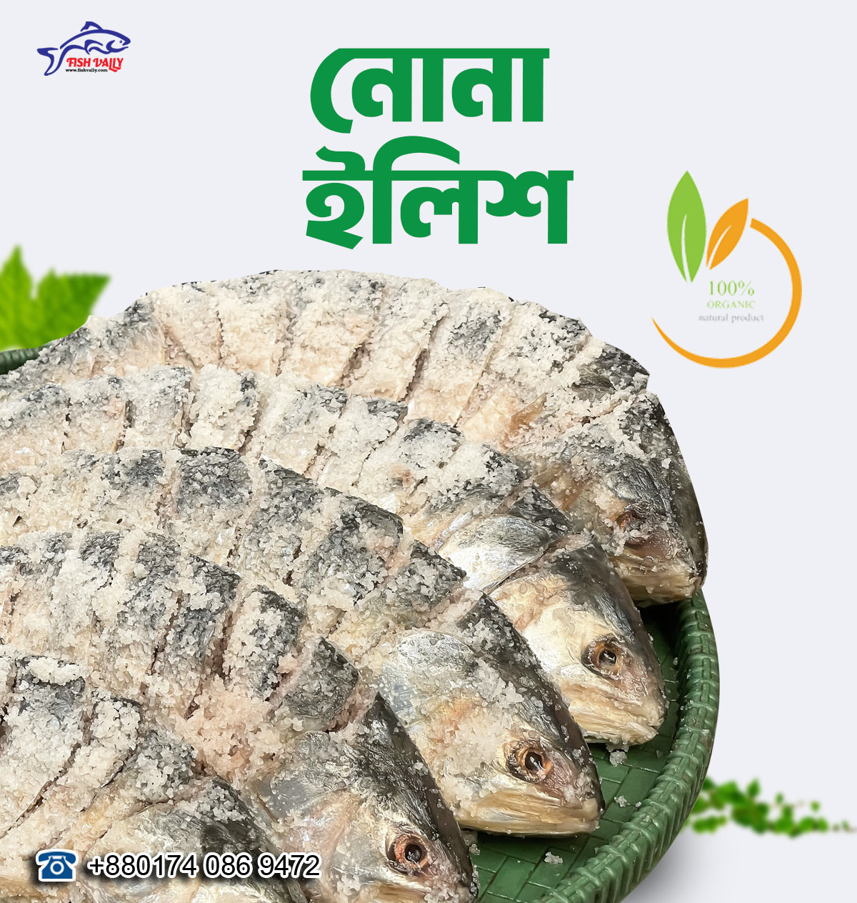 Nona Hilsha (নোনা ইলিশ)