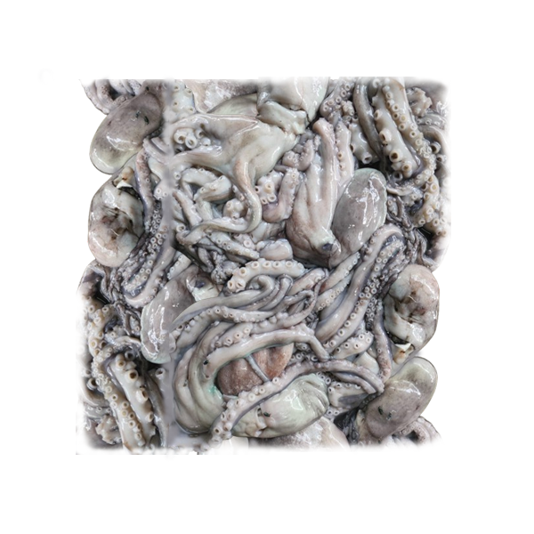Octopus / অক্টোপাস