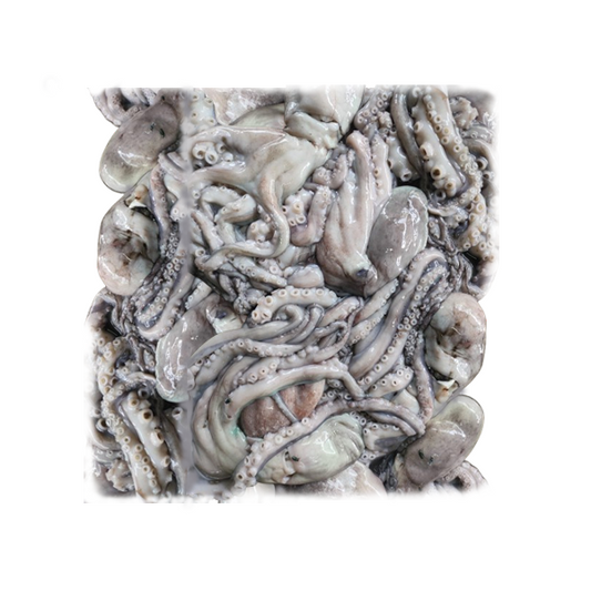 Octopus (অক্টোপাস)