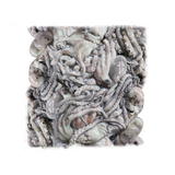 Octopus / অক্টোপাস