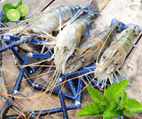 Golda Prawn/গলদা চিংড়ী