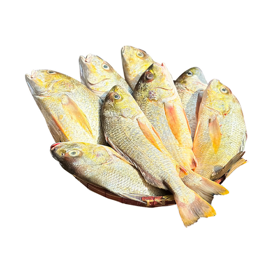 Sonali Koral / সোনালি কোরাল