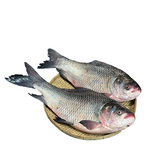 Katla Fish / কাতল মাছ 3-5 kg Size per KG 750 TK
