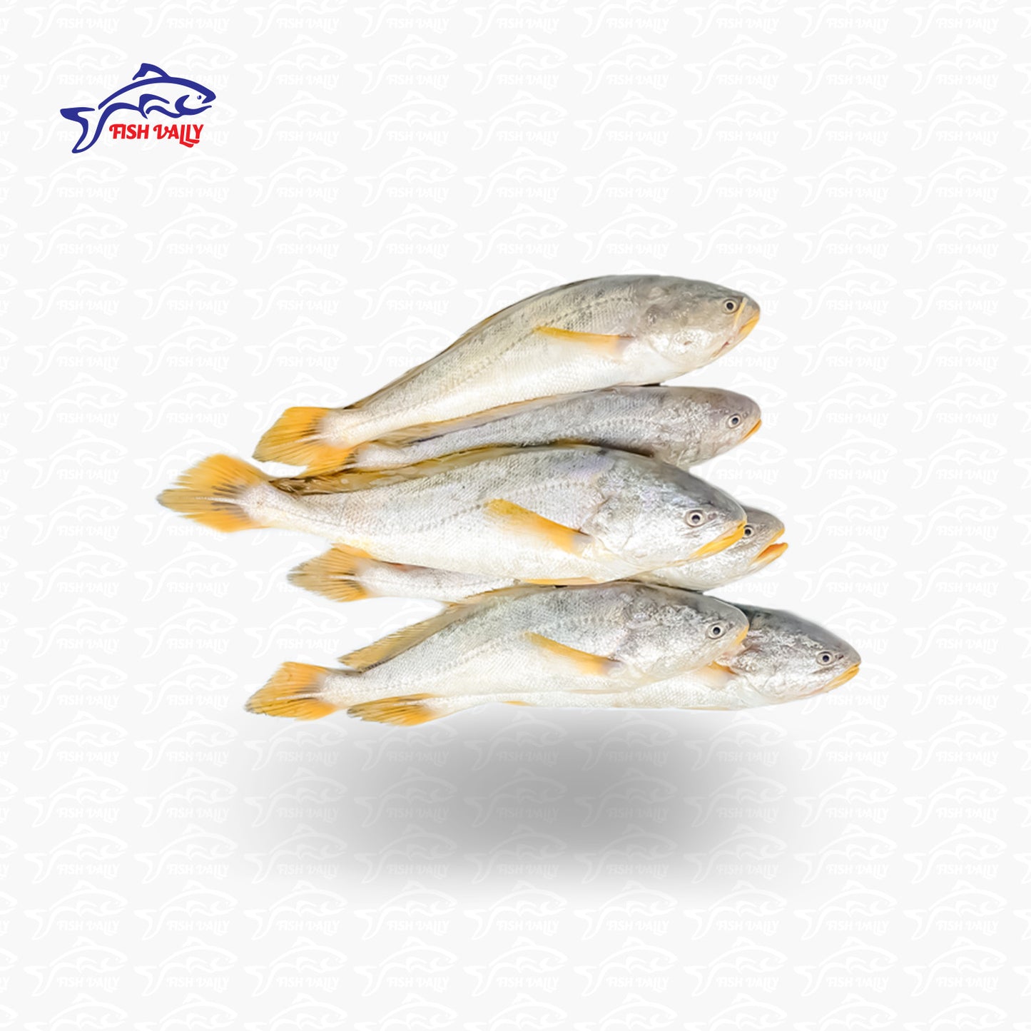 Poa Fish (দেশি পোয়া)