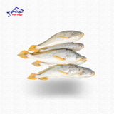Poa Fish (দেশি পোয়া)