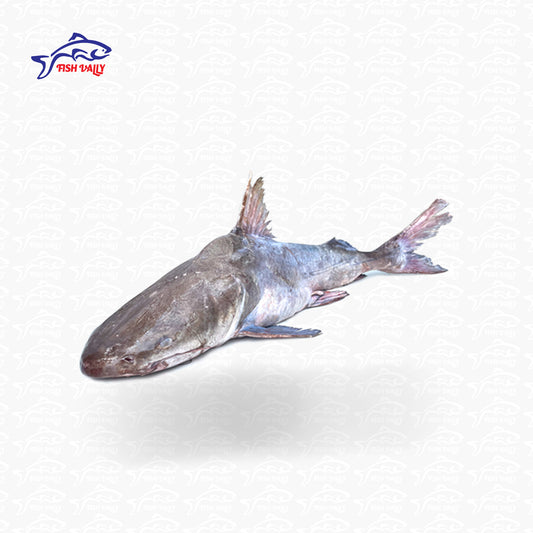 Med Fish Whole (মেদ মাছ)