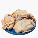 Beijing Duck / বেইজিং হাস ( 2.50 - 3.00 KG Dressed )