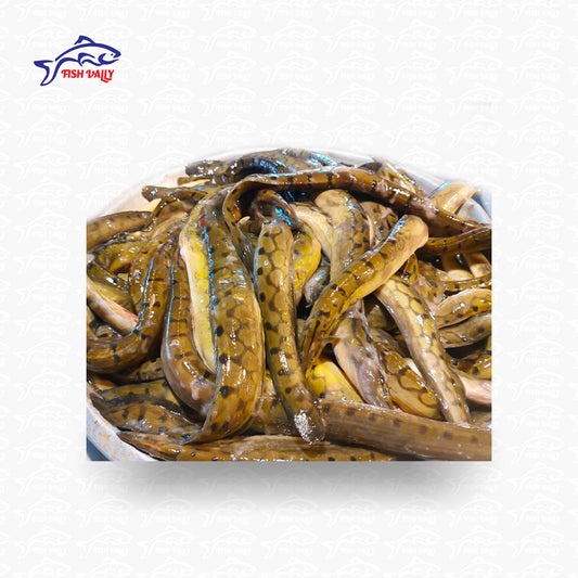 Tara Bain (তারা বাইন)