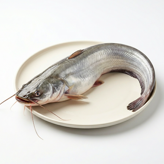 Boal Fish (বোয়াল মাছ)