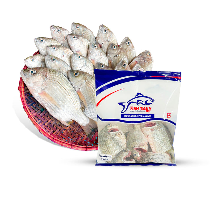 Datina Fish (Whole Cleaned 1kg) – Fish Vally