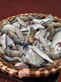 Sundarbans Premium Mix ( Ready to Cook )