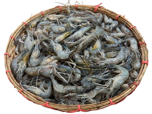 Mou Kathali ( মৌ কাঠালি )