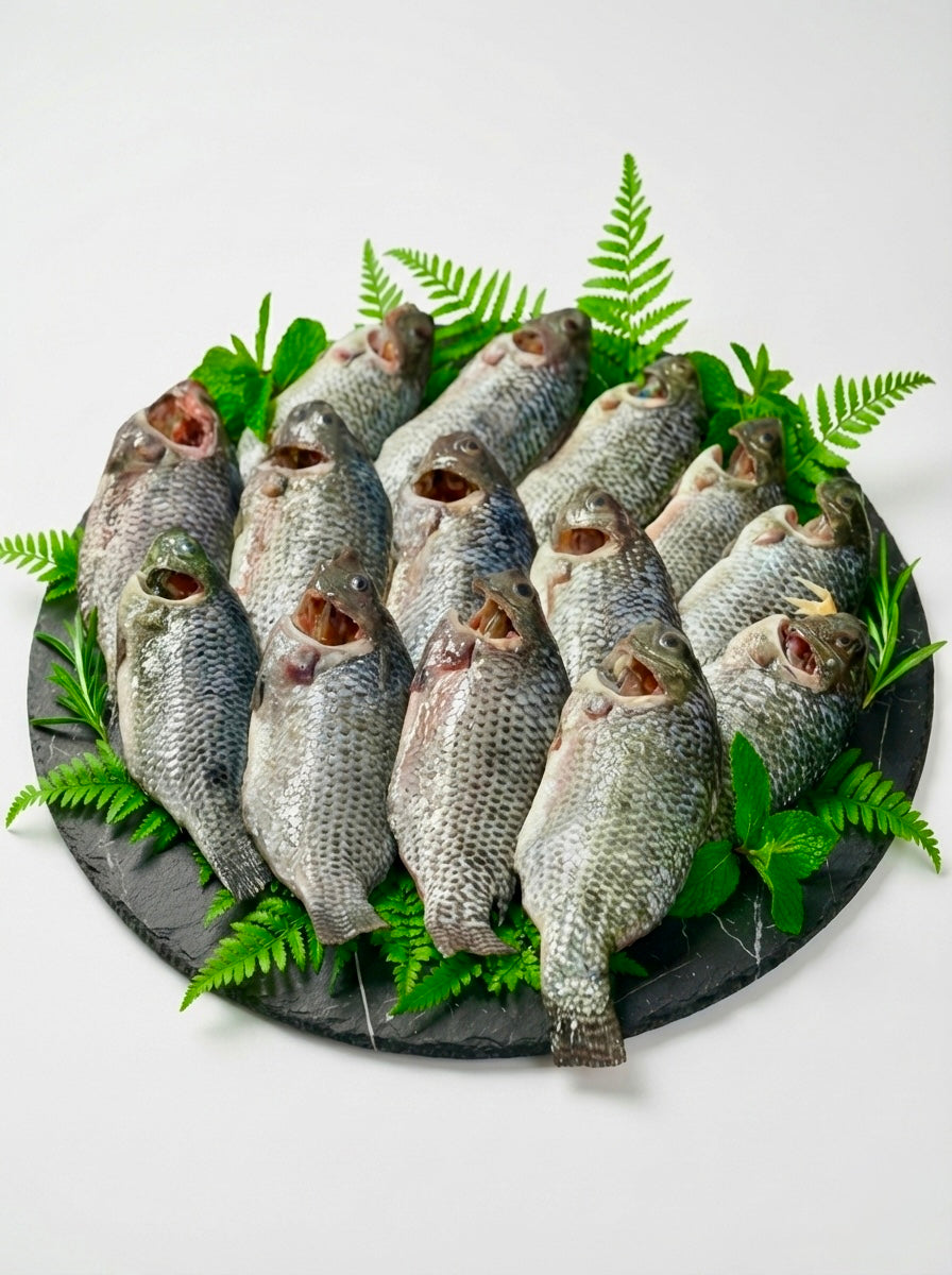 Sundarbans Tilapia / তেলাপিয়া মাছ (Dressed)