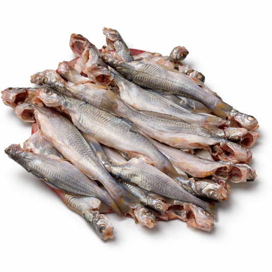 Haor Gulsha Tengra (Dressed)
হাওরের গুলশা টেংরা