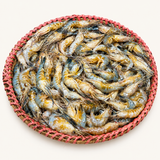 Mou Kathali (মৌ কাঠালি)
