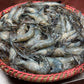 Motka Chingri (মটকা চিংড়ি)