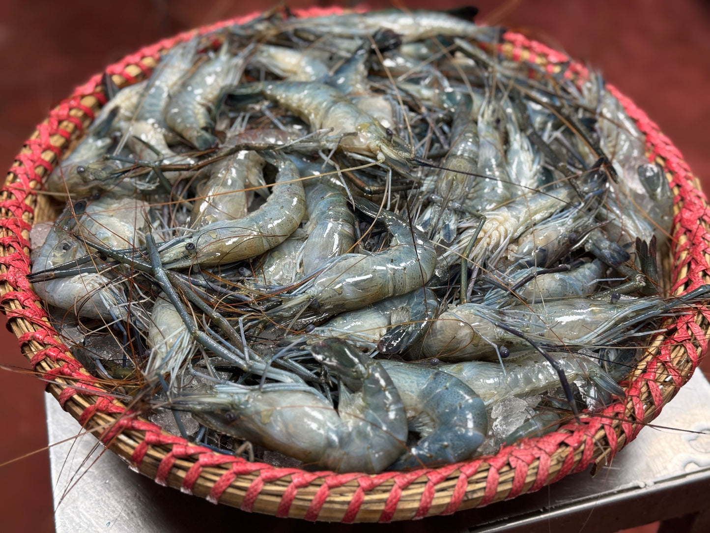 Motka Chingri (মটকা চিংড়ি)