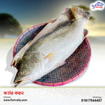 Koral Fish 5 KG Size Whole (1250 TK Per KG)
