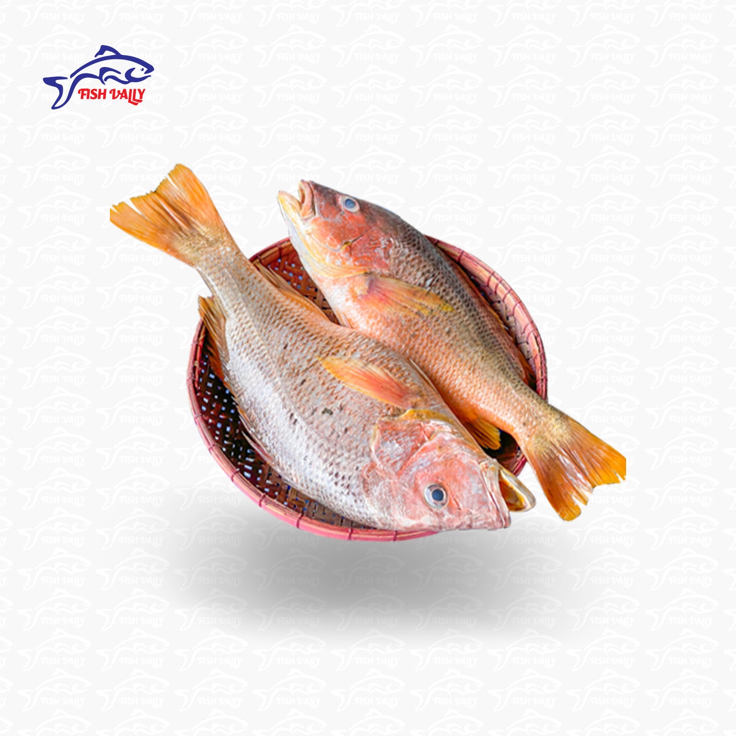 Laal Koral (লাল কোরাল)