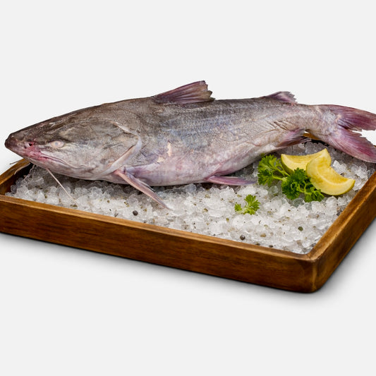 Med Fish Whole (মেদ মাছ)