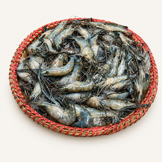Motka Chingri (মটকা চিংড়ি)