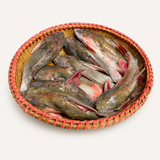 Ritha Fish (রিঠা মাছ)