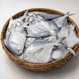 Rupchada (রূপচাঁদা)