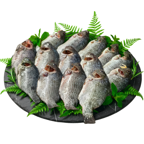 Sundarbans Tilapia / তেলাপিয়া মাছ (Dressed)