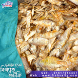 Toila Faha Sutki