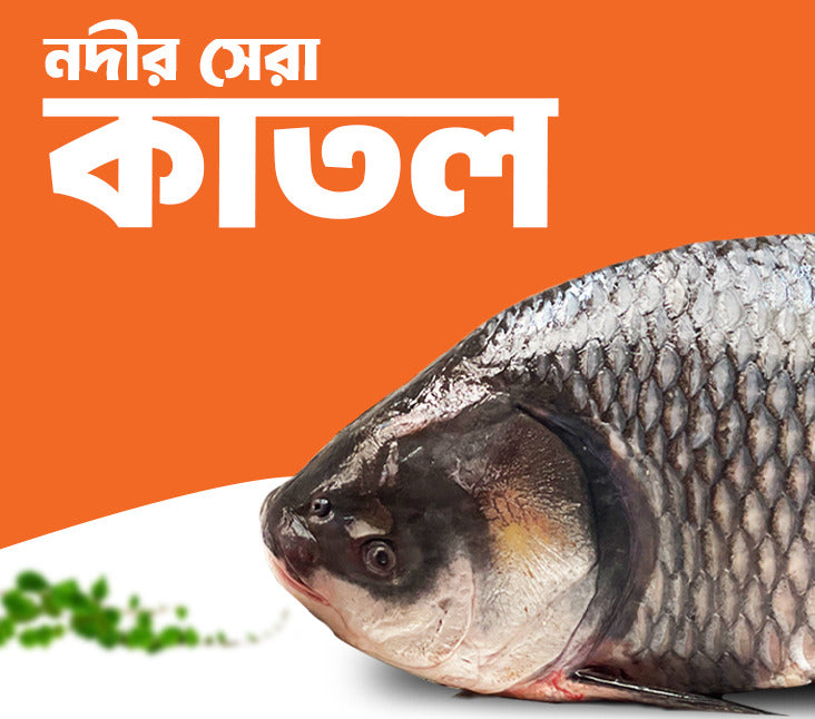 Fish Vally
