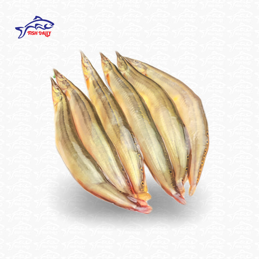 Deshi Biam Fish (বাইন মাছ)