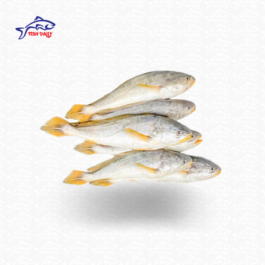 Poa Fish (দেশি পোয়া)